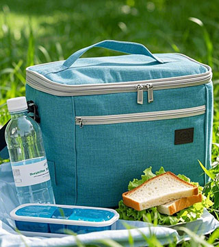 Cooler/Picnic Bag